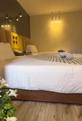 20250415_152210_IMG_1258 copy