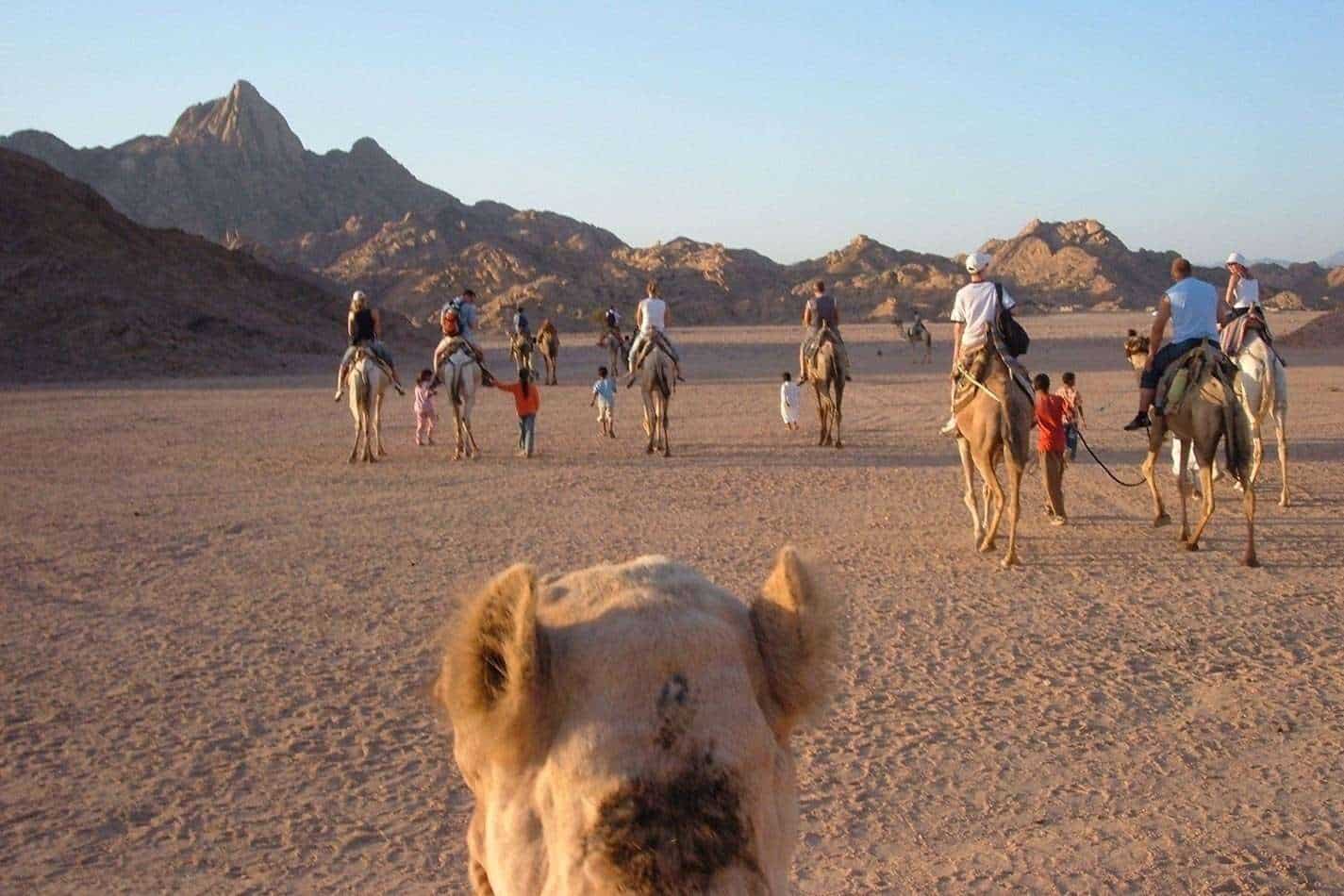 Day 1 – Desert Safari Adventure: Thrill in the Sands