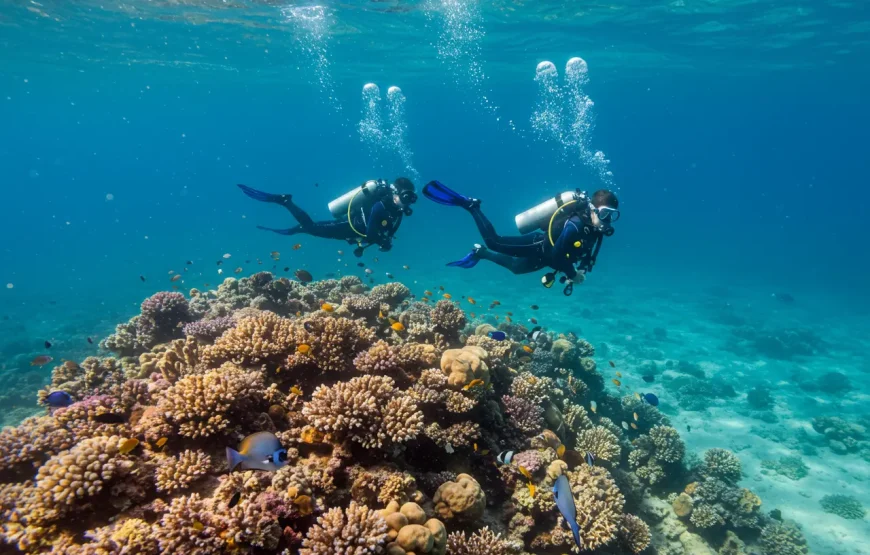 Hurghada Adventure Tours
