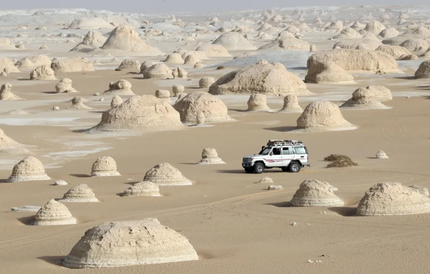 White & Black Desert Tour – 3 Days / 2 Nights