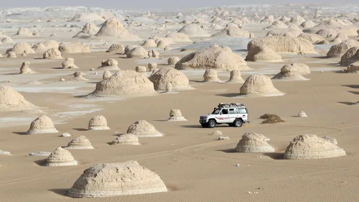 Day 3: White Desert – Cairo
