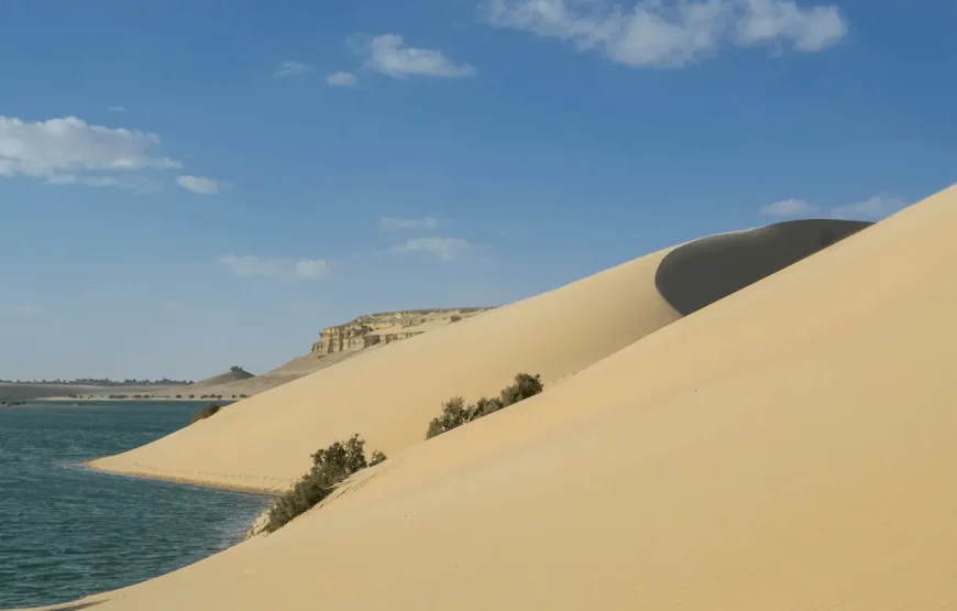 Fayoum Desert Safari & Wadi Al Hitan