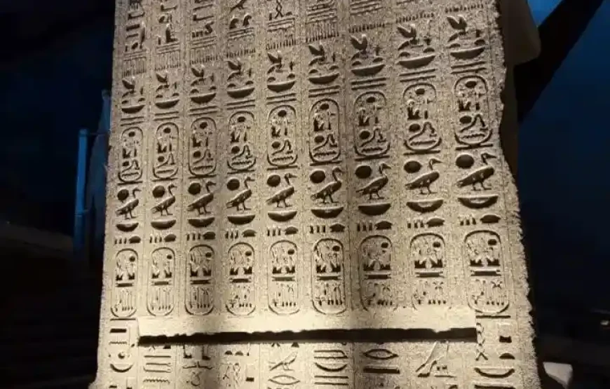 Grand Egyptian Museum Tour – Private Transfer