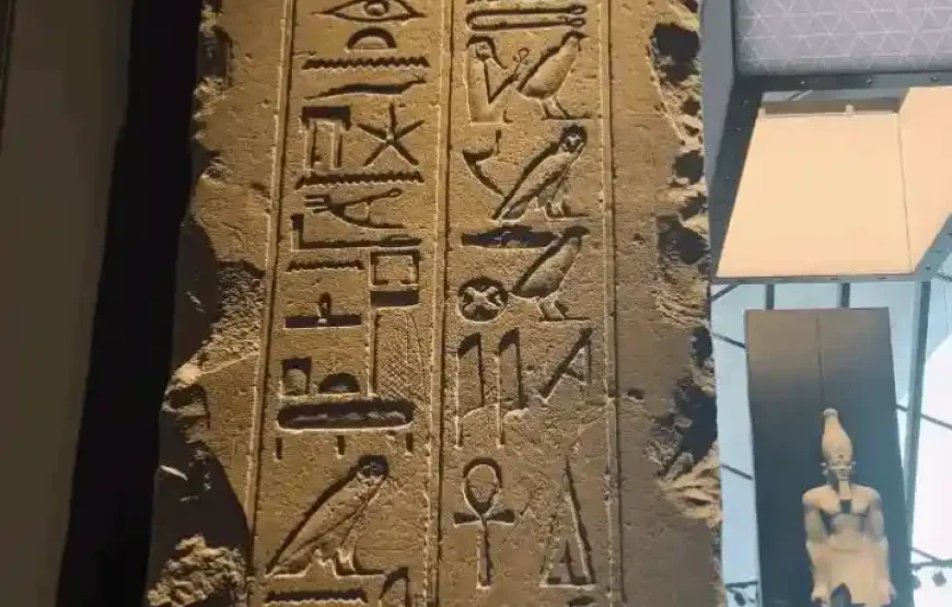 Grand Egyptian Museum Tour – Private Transfer