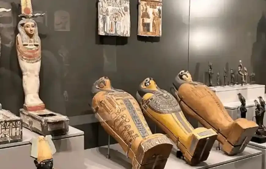 Grand Egyptian Museum Tour – Private Transfer