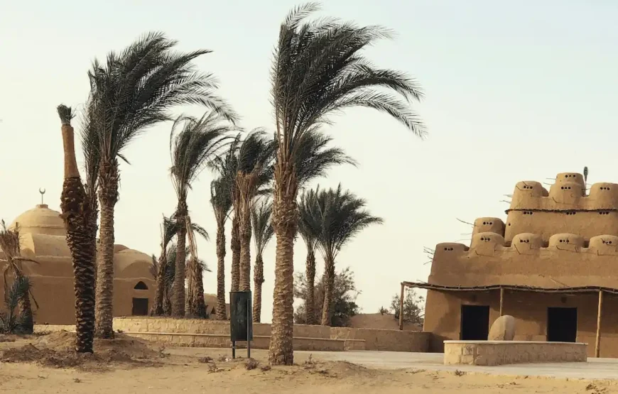 Fayoum Desert Safari & Wadi Al Hitan